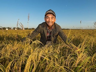 最年輕的節日 最悠久的牽念——寫給首個中國農民豐收節