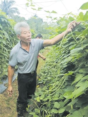 【食品农业+摘要】【即时快讯】夜校+种植技术培训 贫困户变身瓜菜种植大户