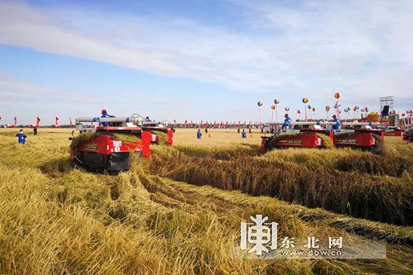 秋收生产战役打响！“中国农民丰收节”水稻开镰仪式举行