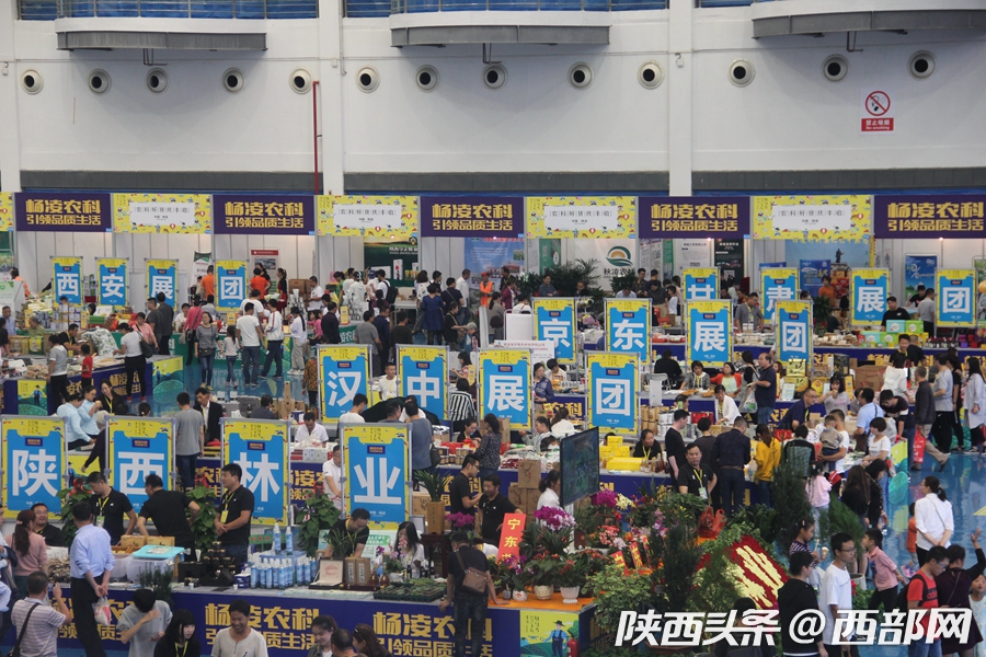 首届中国农民丰收节陕西杨凌分会场活动举行 农业科技成亮点