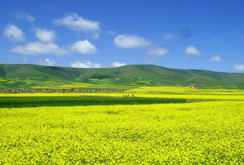 Berbasikal Mengeliling Tasik Qinghai (1)