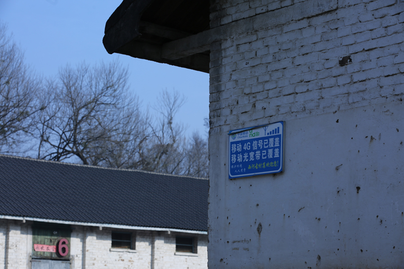 향토 내음에서 탄생한 새 유행