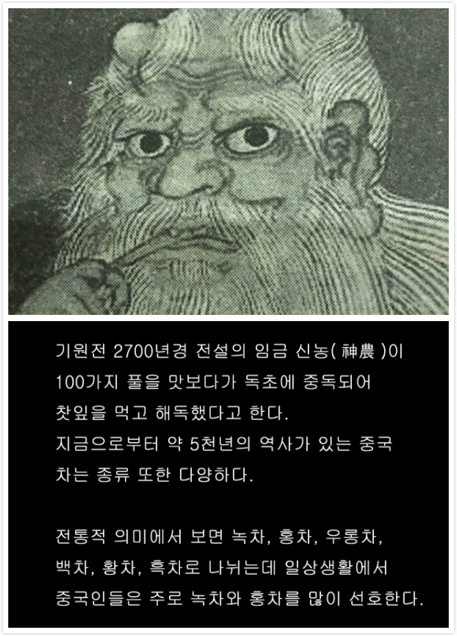 신양모첨 수공제다, 녹차지왕의 "원초적인 행보"