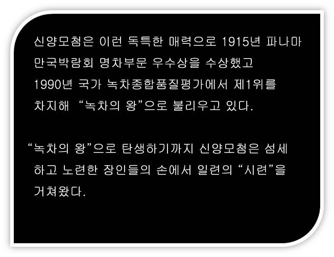 신양모첨 수공제다, 녹차지왕의 "원초적인 행보"