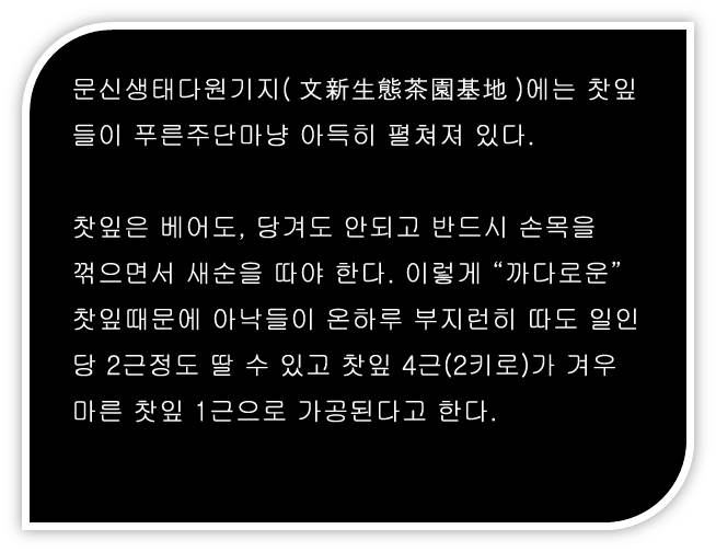 신양모첨 수공제다, 녹차지왕의 "원초적인 행보"