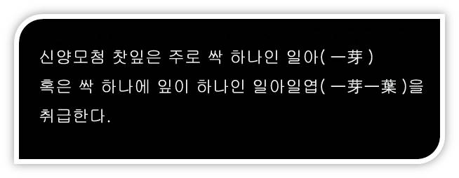 신양모첨 수공제다, 녹차지왕의 "원초적인 행보"