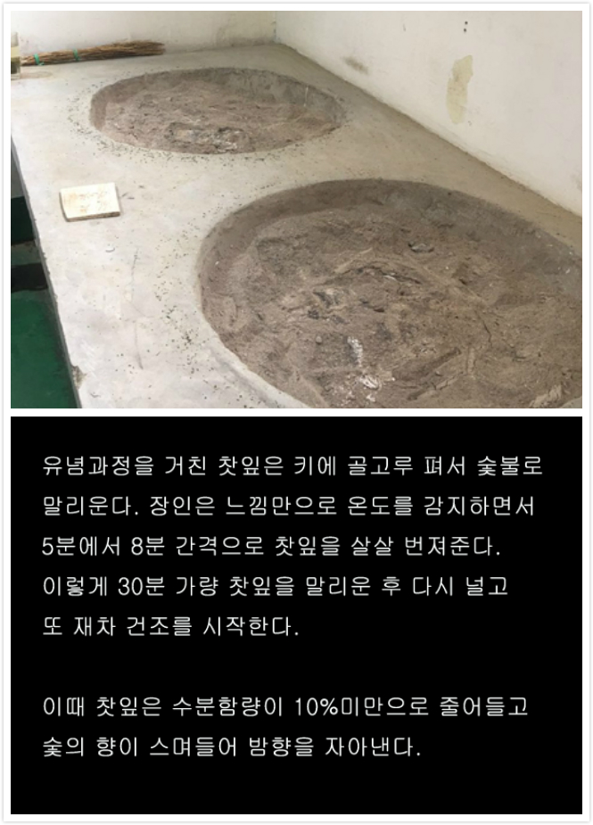 신양모첨 수공제다, 녹차지왕의 "원초적인 행보"