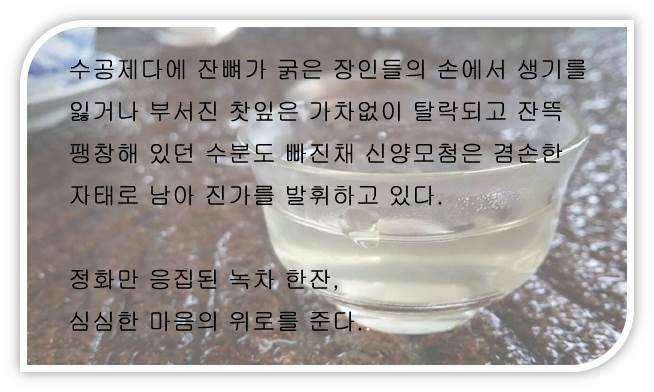 신양모첨 수공제다, 녹차지왕의 "원초적인 행보"