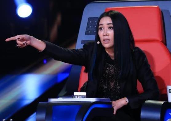 那英首度公开向刀郎道歉,网友:那英看不起的不只是刀郎!