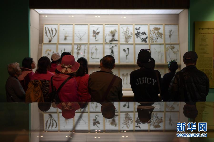 探訪中國藏醫藥文化博物館