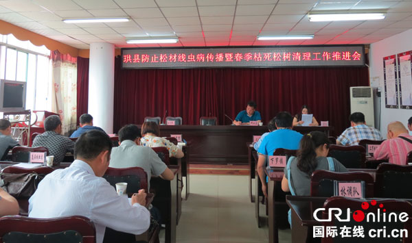 据了解,有来自巡场镇,底洞镇,孝儿镇等乡镇人民政府分管林业的主要