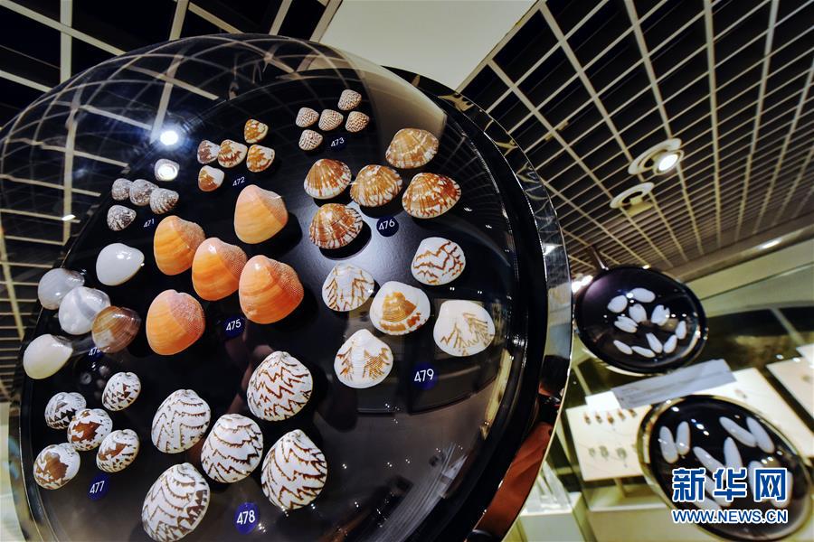 探访曼谷贝壳博物馆