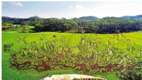 南寧賓陽：古辣鎮呈現3公里稻田藝術景觀帶