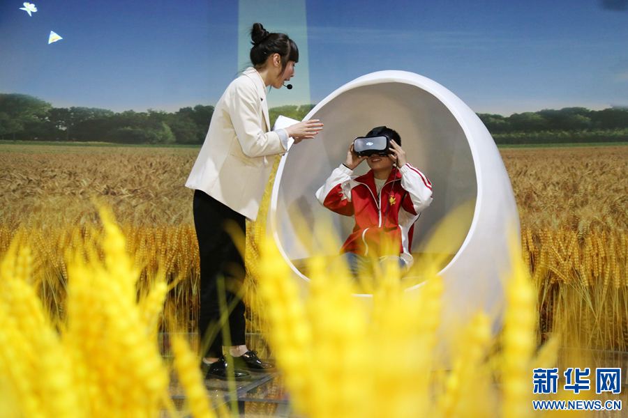 【轮播图】河南温县：在小麦博物馆里体验农耕文化