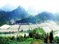秦岭山现代农业生态旅游园