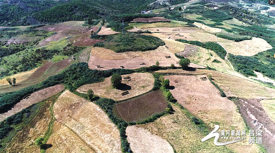 图片默认标题_fororder_1