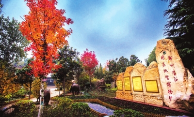 鄭州黃河地質公園紅葉爛漫,層林盡染