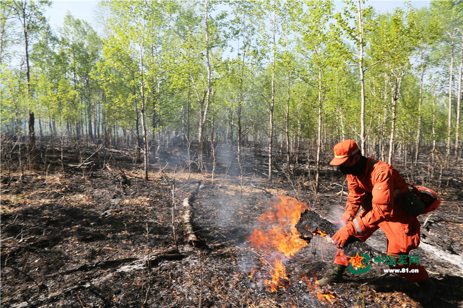 森林衛士火線救援 三千勇士阻擊“火魔”