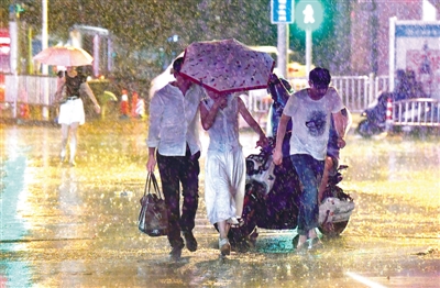 【轮播图】昨晚郑州风大雨大 陇海立交因积水一度封闭