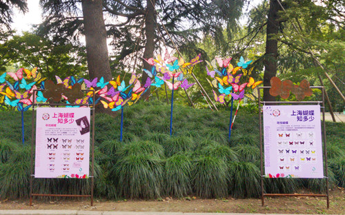 蝶舞申城 上海动物园第六届蝴蝶展28日起开幕