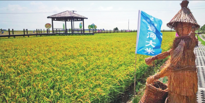 建设“德美通河”培育文明乡风打造美丽乡村