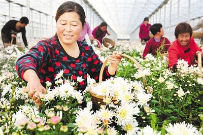 實施鄉村振興戰略 推進農業農村現代化 ——寫在第二十二屆中國（廊坊）農交會舉辦之際