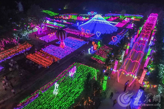 济南鹊华烟雨生态园举办首届玫瑰灯光节