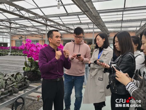 【首页标题】大同市杨家窑村：走出独特强村富民之路 【内容页标题】大同市杨家窑村：书写乡村振兴传奇史 提升人民群众幸福感