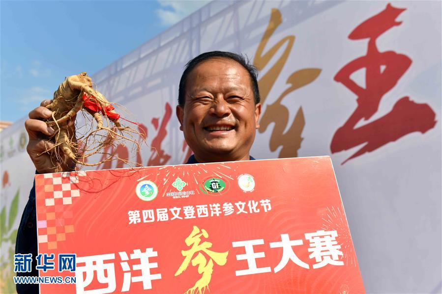 山东省威海市文登区举行西洋参“参王”大赛