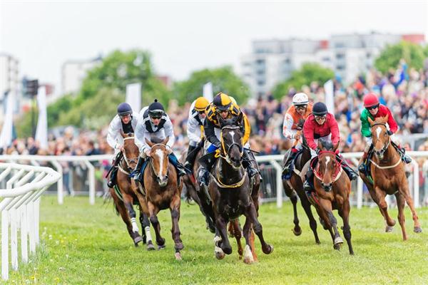 哈萨克斯坦赛马协会总裁：以金马币区块链推动哈萨克赛马公园建设