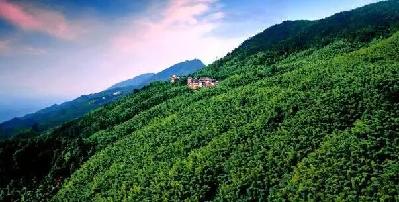 【行遊巴渝圖文】重慶各地招牌美景 哪個你最愛? 【行遊巴渝圖文】重慶各地招牌美景 哪個你最愛?