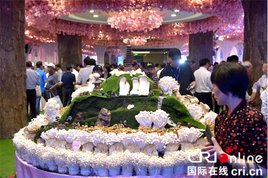 （原創 焦點圖 移動版）連雲港灌南發展新局面 建設“強富美高”新灌南