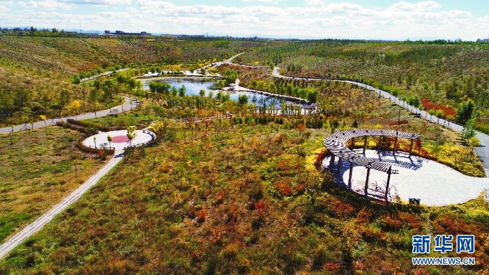 內蒙古呼和浩特：“沙坑公園”五彩斑斕耀金秋