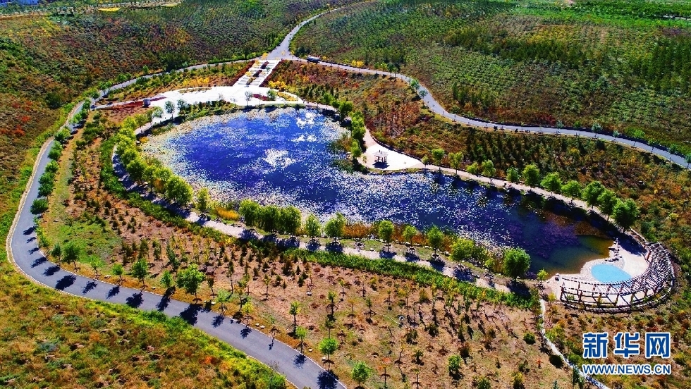 内蒙古呼和浩特：“沙坑公园”五彩斑斓耀金秋