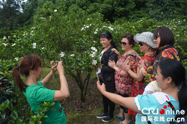 栀香万里处事惟洁宜宾佛现山栀子花节开幕