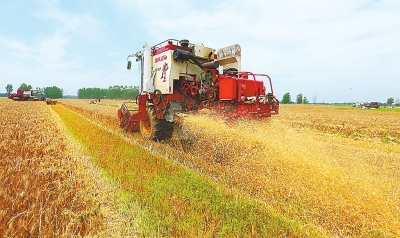 【頭條摘要】今年麥收開始啦！ 河南全省已收穫188萬畝