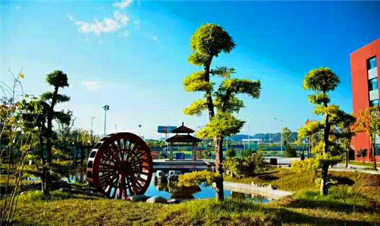 延安新区：教育先行 培育好未来改革中坚力量