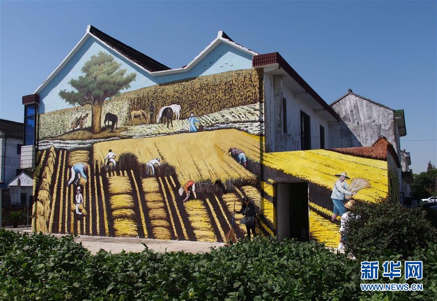 上海金山有個“壁畫村”