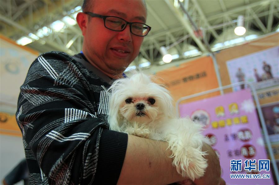 2017中國（西部）寵物産業博覽會在銀川開幕