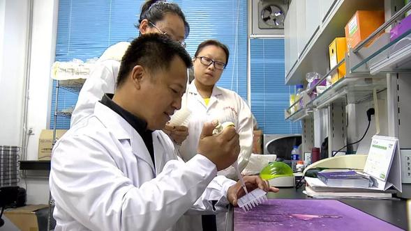 圖片默認標題 圖片默認標題_fororder_11