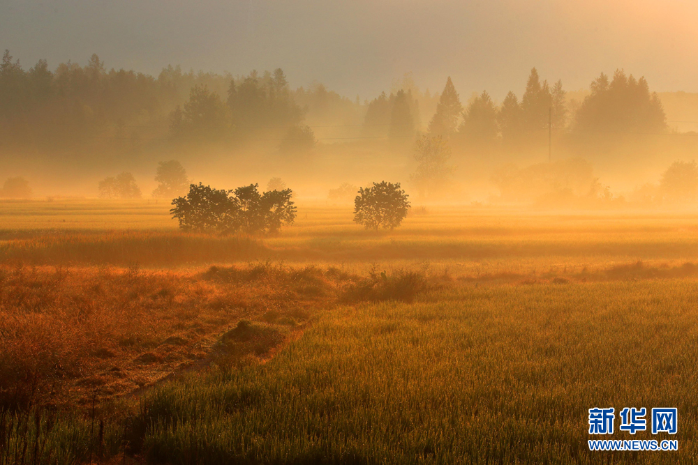 安徽：秋色如诗 岁月静好