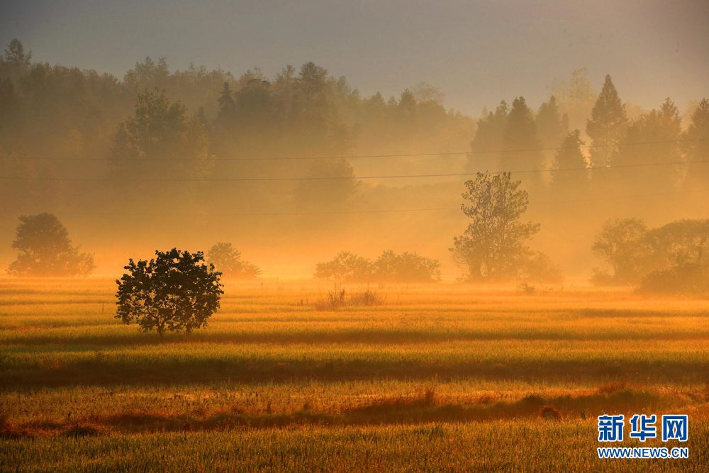 安徽：秋色如诗 岁月静好