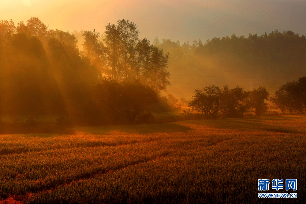 安徽：秋色如诗 岁月静好