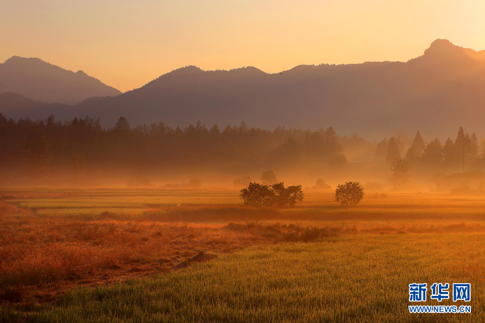安徽：秋色如诗 岁月静好