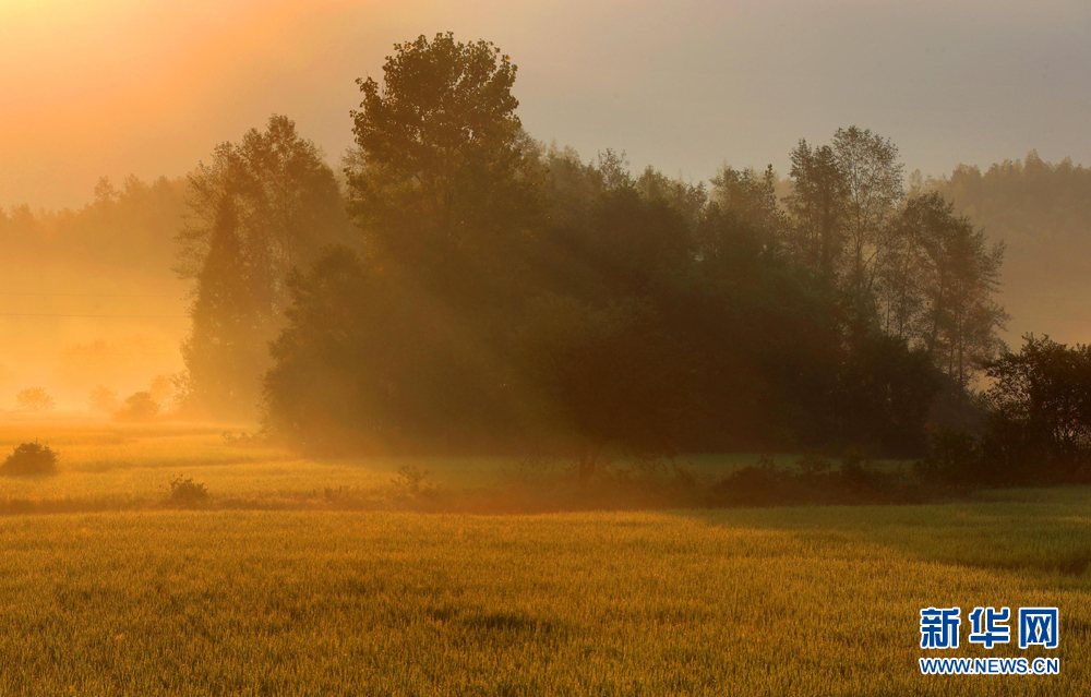 安徽：秋色如诗 岁月静好