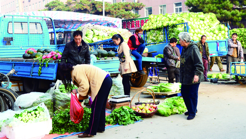長春市民在秋菜銷售點購買秋菜