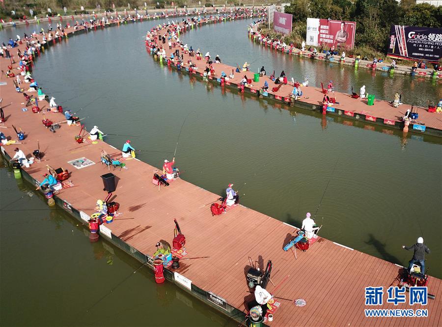 江苏泗洪：湿地垂钓享乐趣