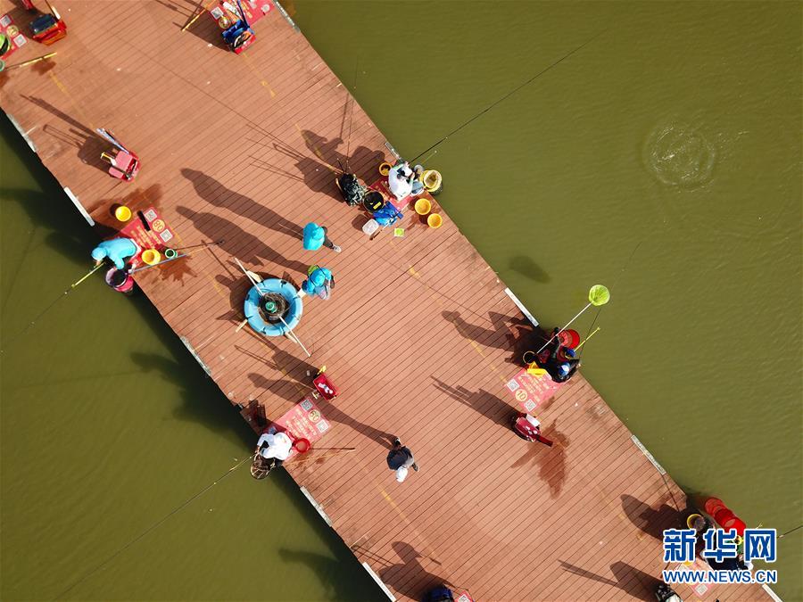 江蘇泗洪：濕地垂釣享樂趣
