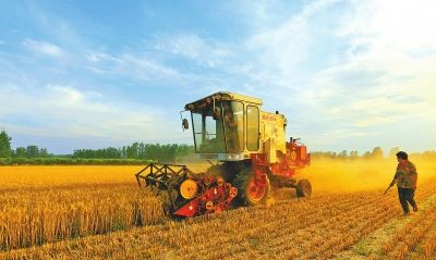 【頭條列表】河南已收小麥超2400萬畝 未來幾天雨天頻繁注意搶收搶曬