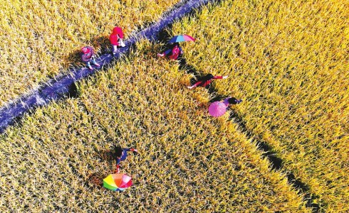 圖片默認標題_fororder_晉祠490